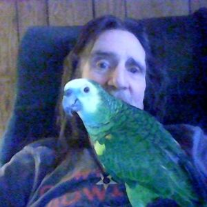 Meet your Posher, Wayne